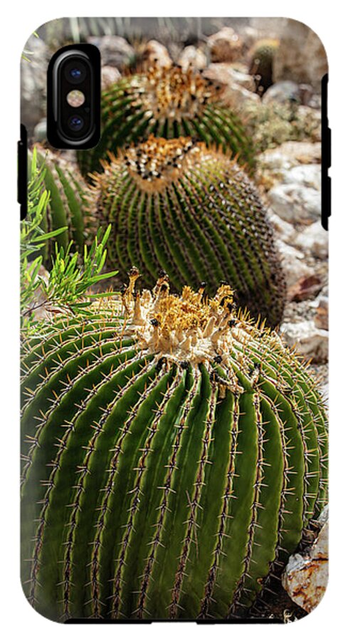 Cacti - Phone Case