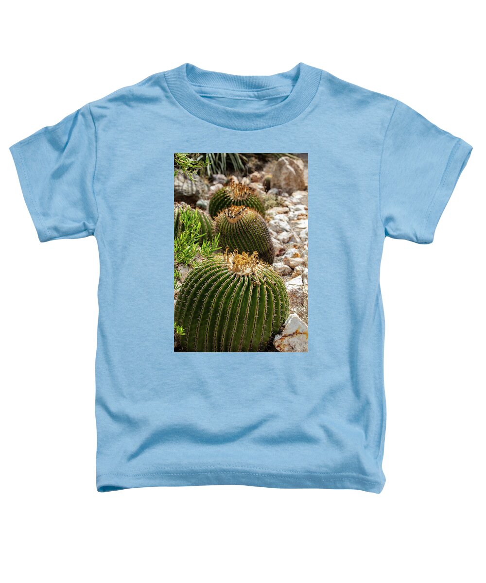 Cacti - Toddler T-Shirt