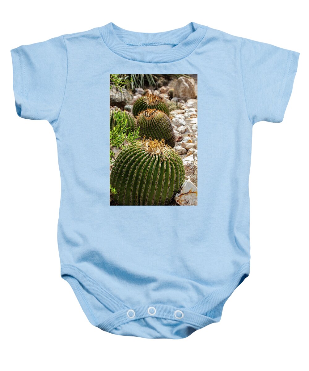 Cacti - Baby Onesie