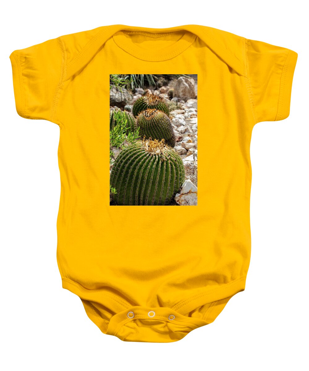 Cacti - Baby Onesie