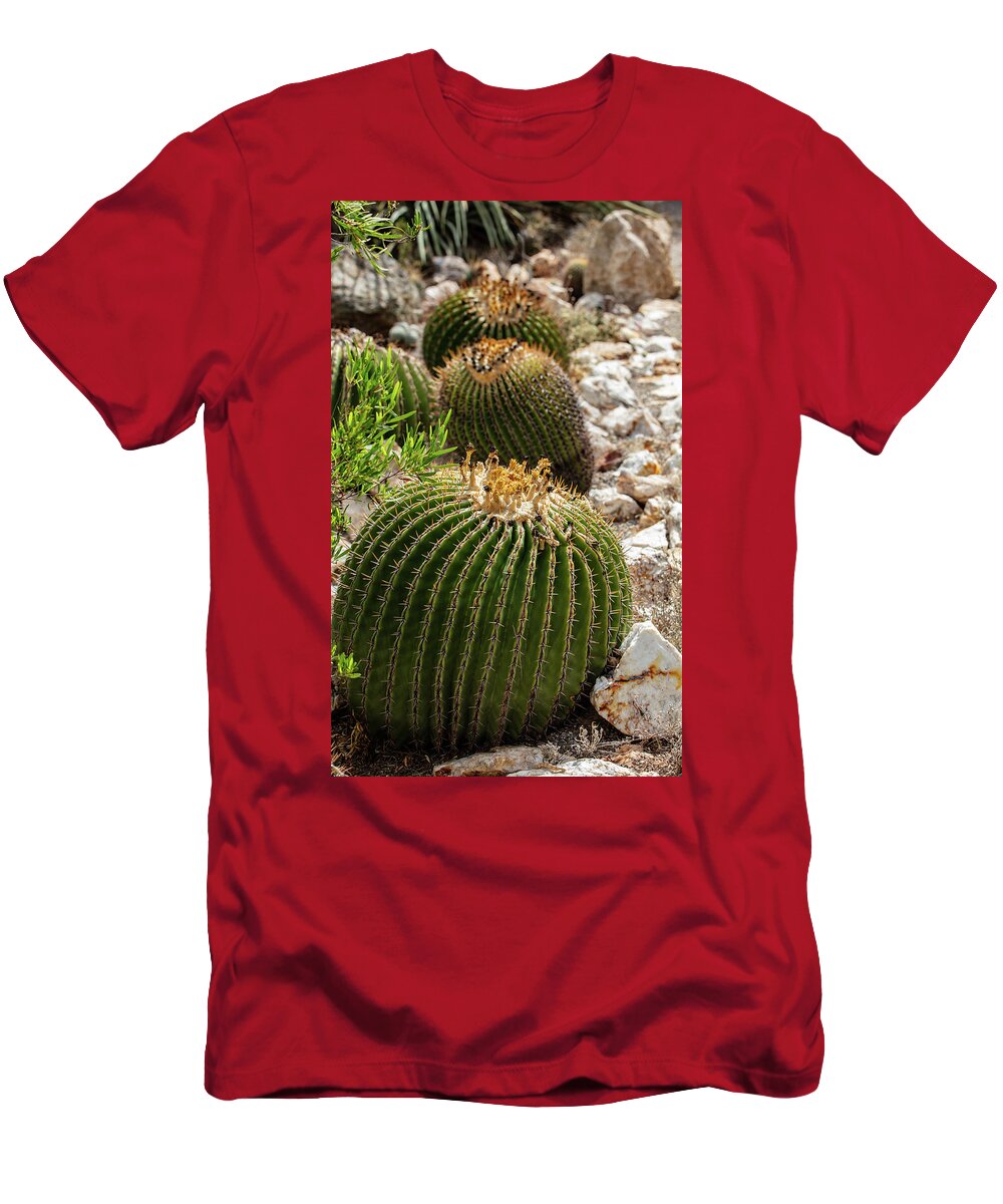 Cacti - T-Shirt