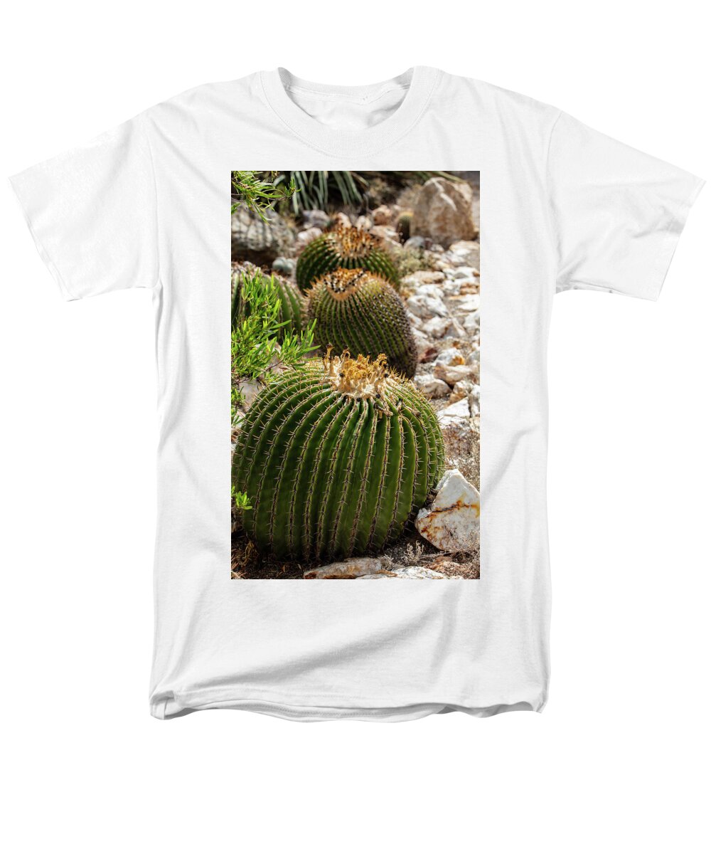 Cacti - Men's T-Shirt  (Regular Fit)