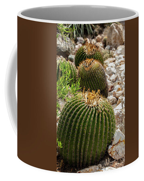 Cacti - Mug