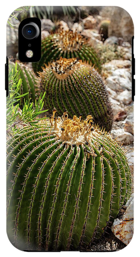 Cacti - Phone Case