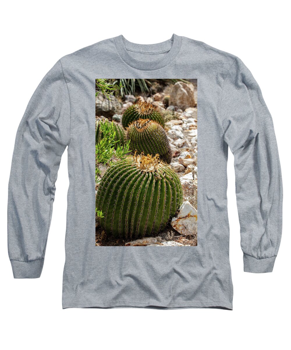 Cacti - Long Sleeve T-Shirt