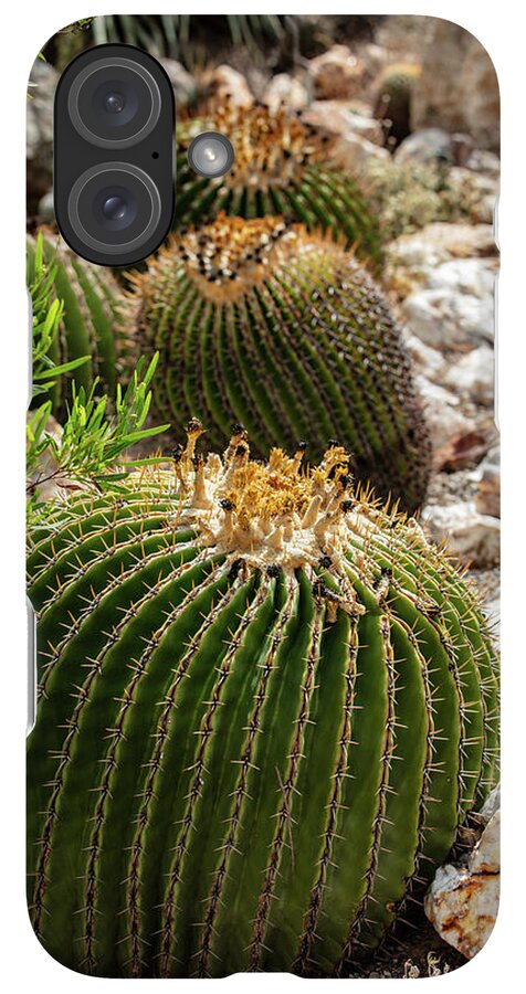 Cacti - Phone Case