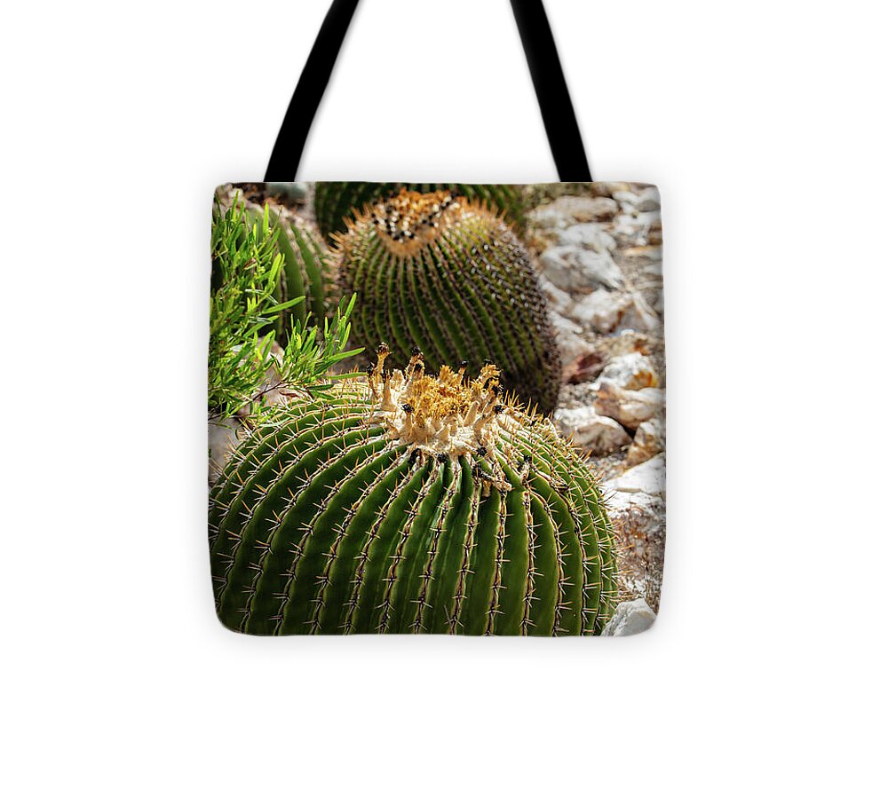 Cacti - Tote Bag
