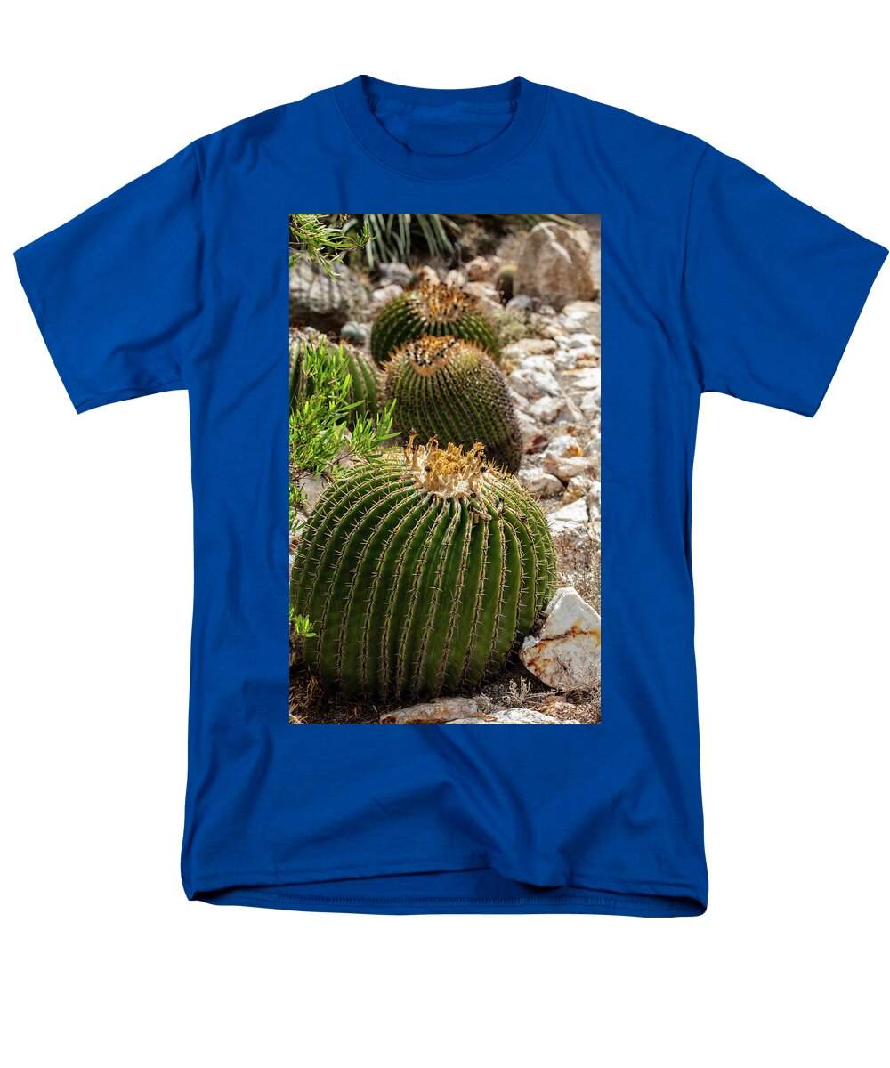 Cacti - Men's T-Shirt  (Regular Fit)