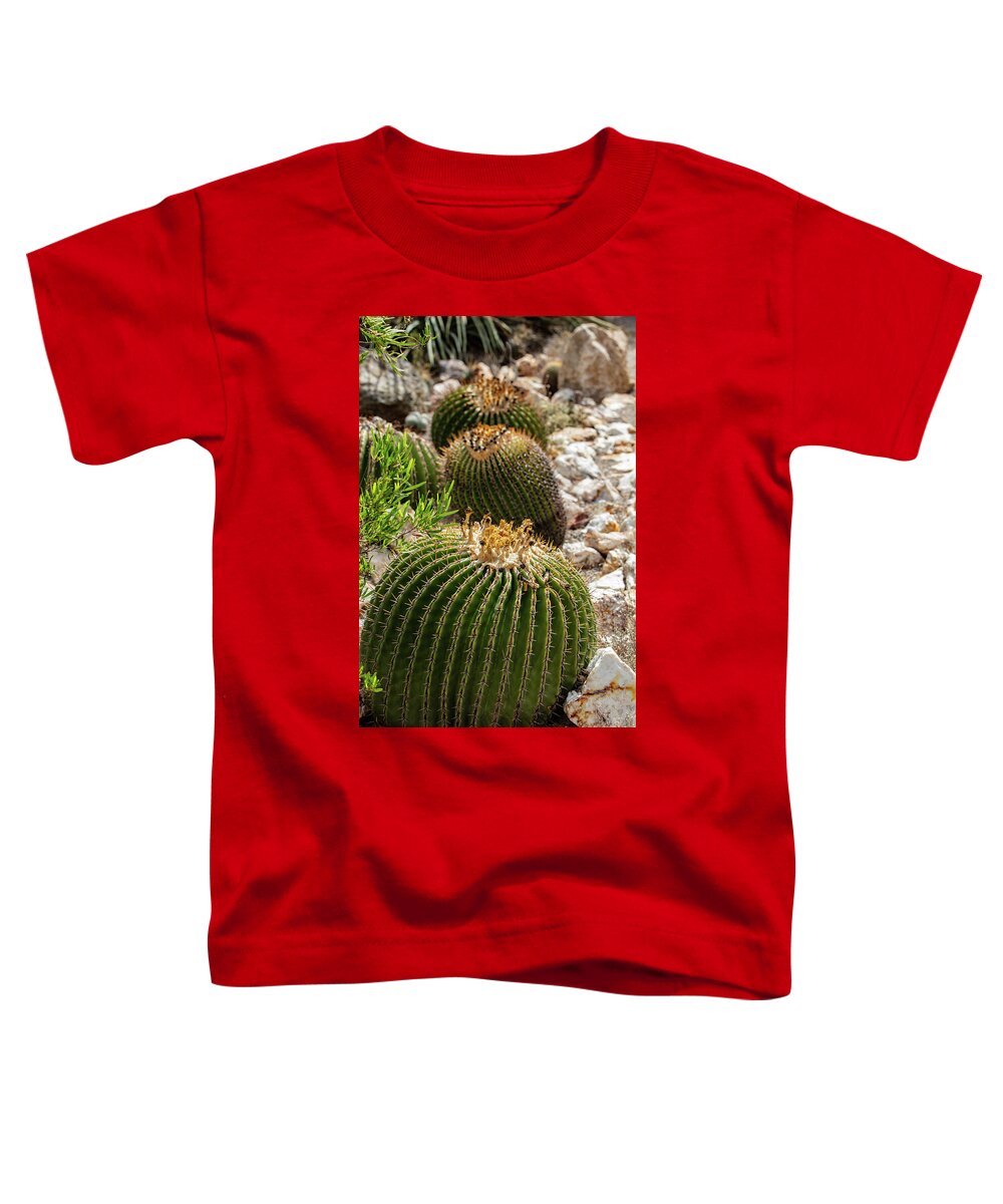 Cacti - Toddler T-Shirt