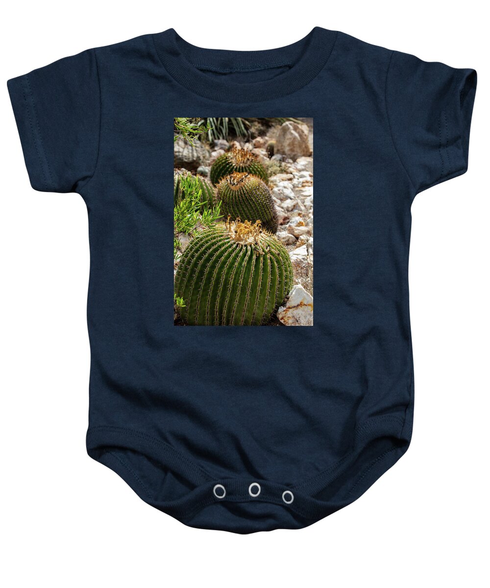 Cacti - Baby Onesie