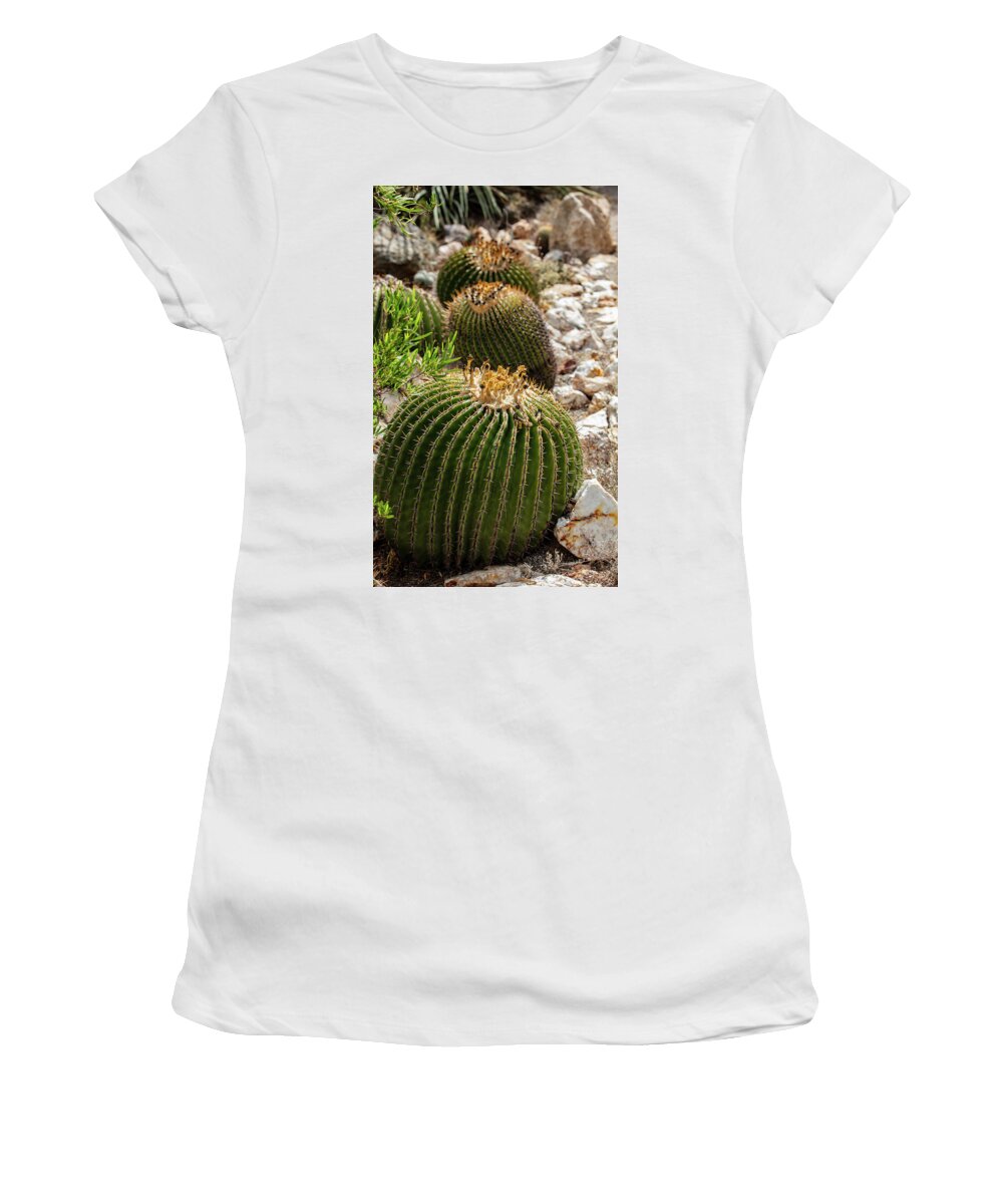 Cacti - Women's T-Shirt