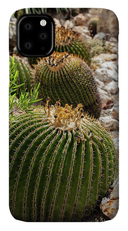 Cacti - Phone Case
