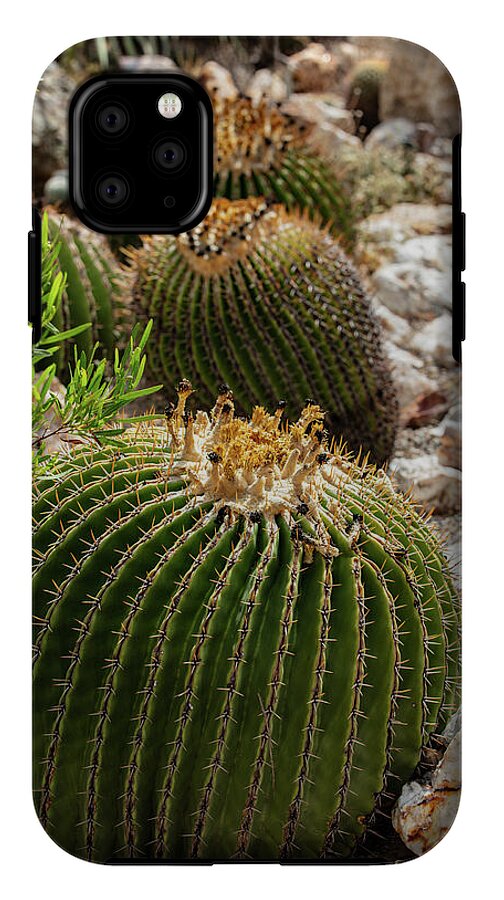 Cacti - Phone Case