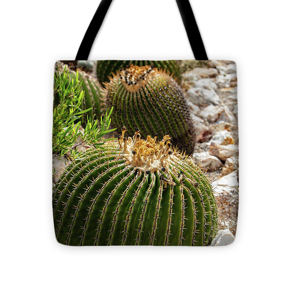 Cacti - Tote Bag
