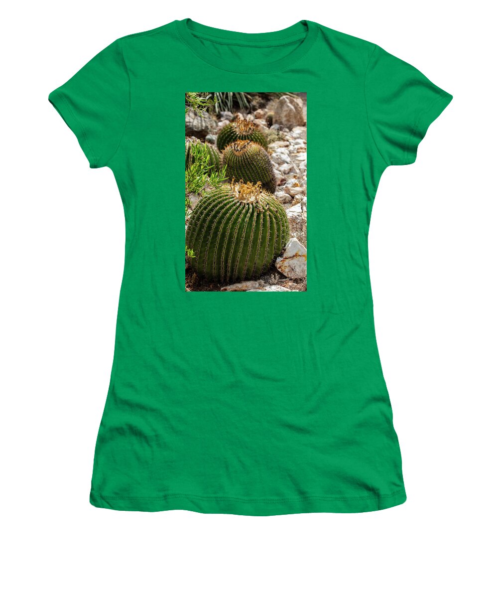 Cacti - Women's T-Shirt