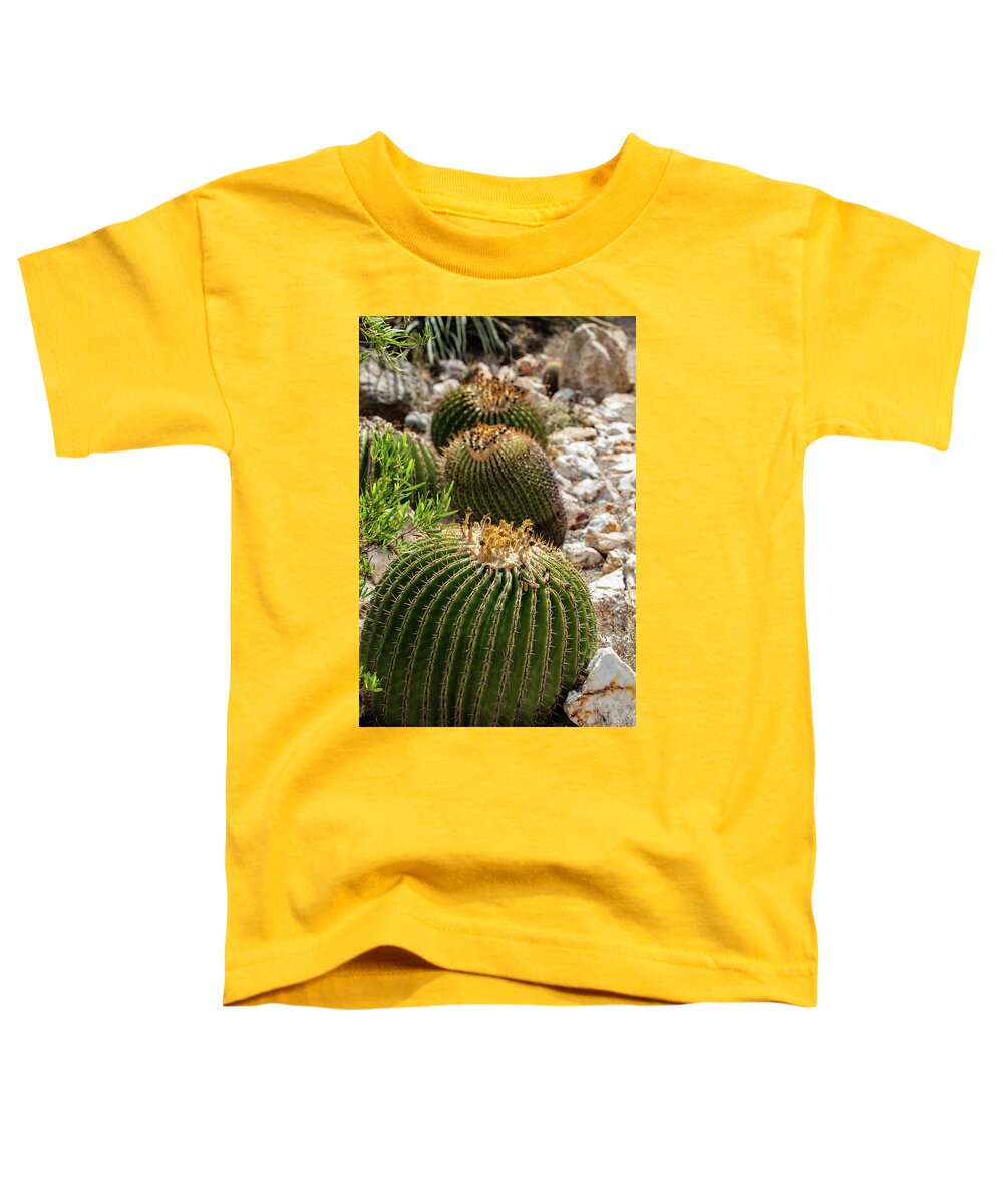 Cacti - Toddler T-Shirt