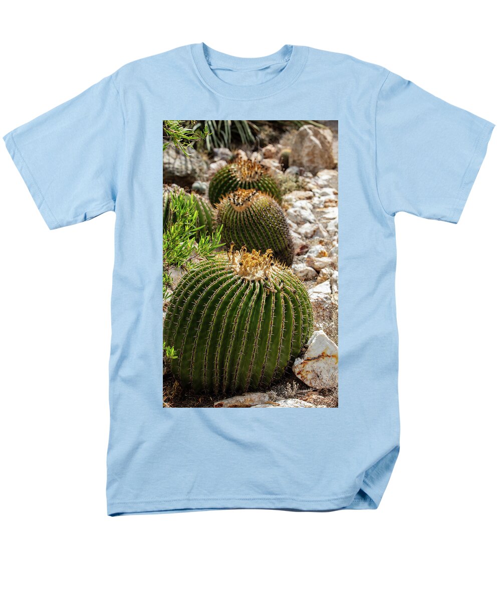 Cacti - Men's T-Shirt  (Regular Fit)