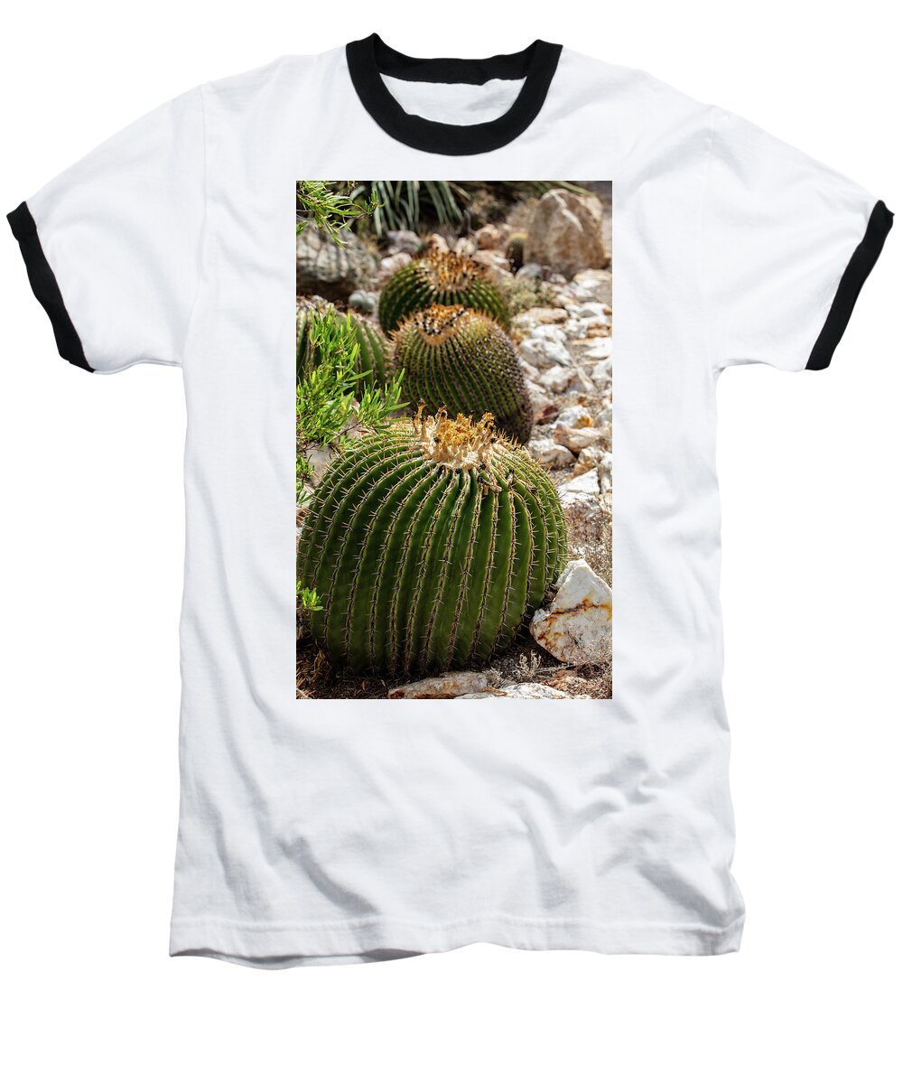 Cacti - Baseball T-Shirt