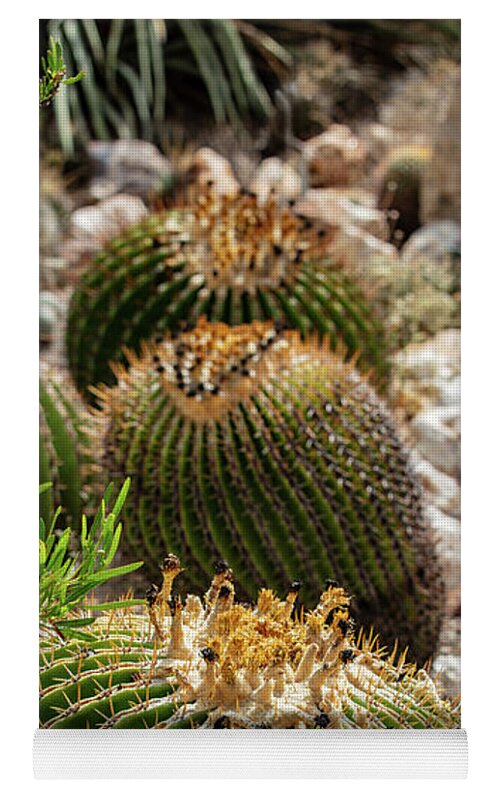Cacti - Yoga Mat