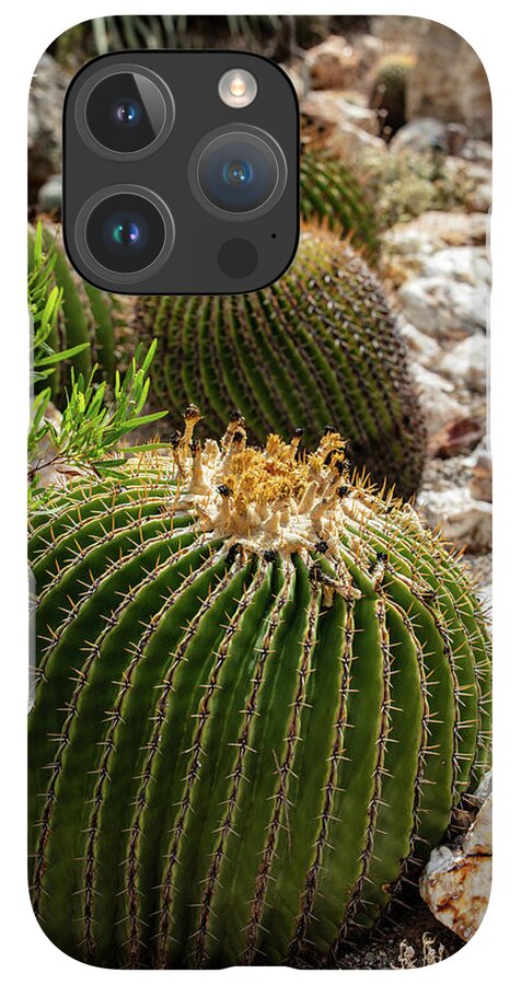 Cacti - Phone Case