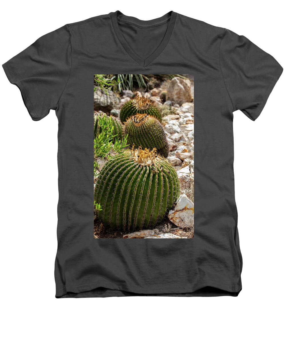 Cacti - Men's V-Neck T-Shirt