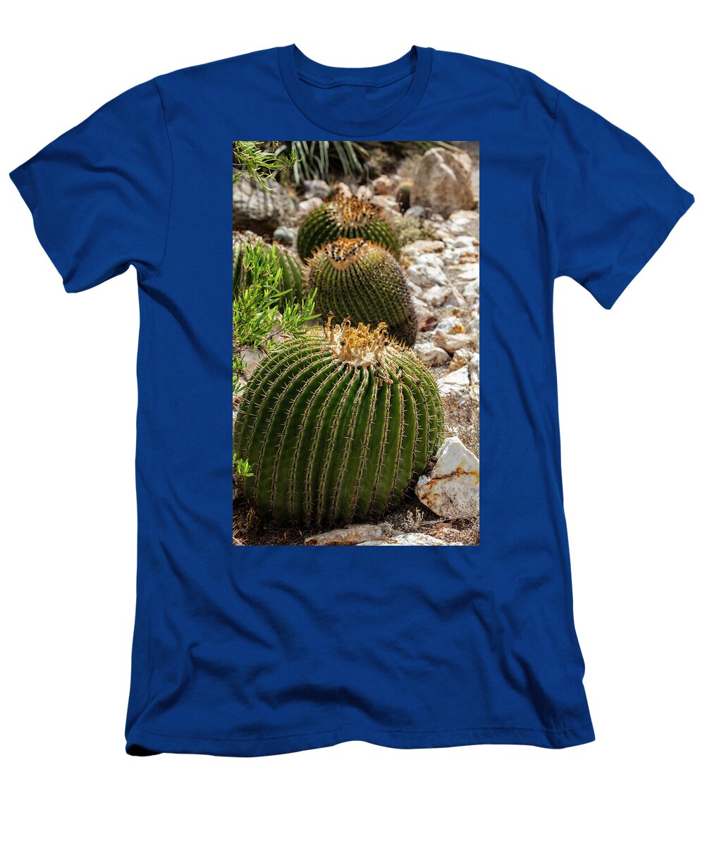 Cacti - T-Shirt