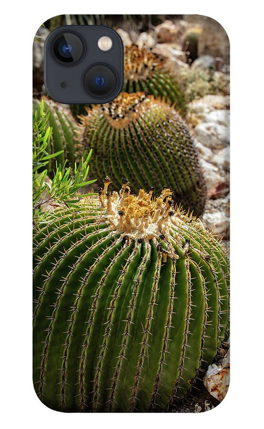 Cacti - Phone Case