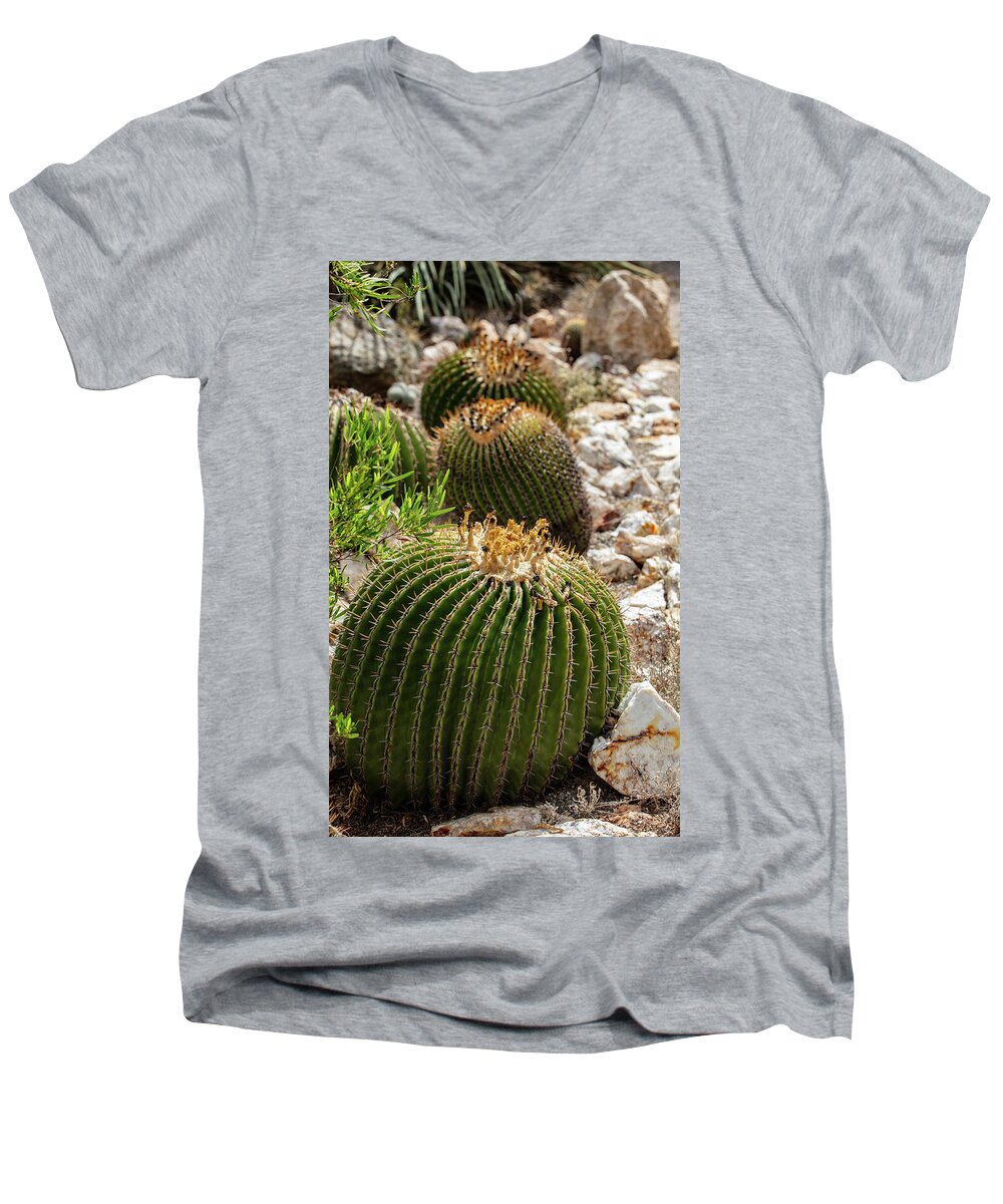 Cacti - Men's V-Neck T-Shirt