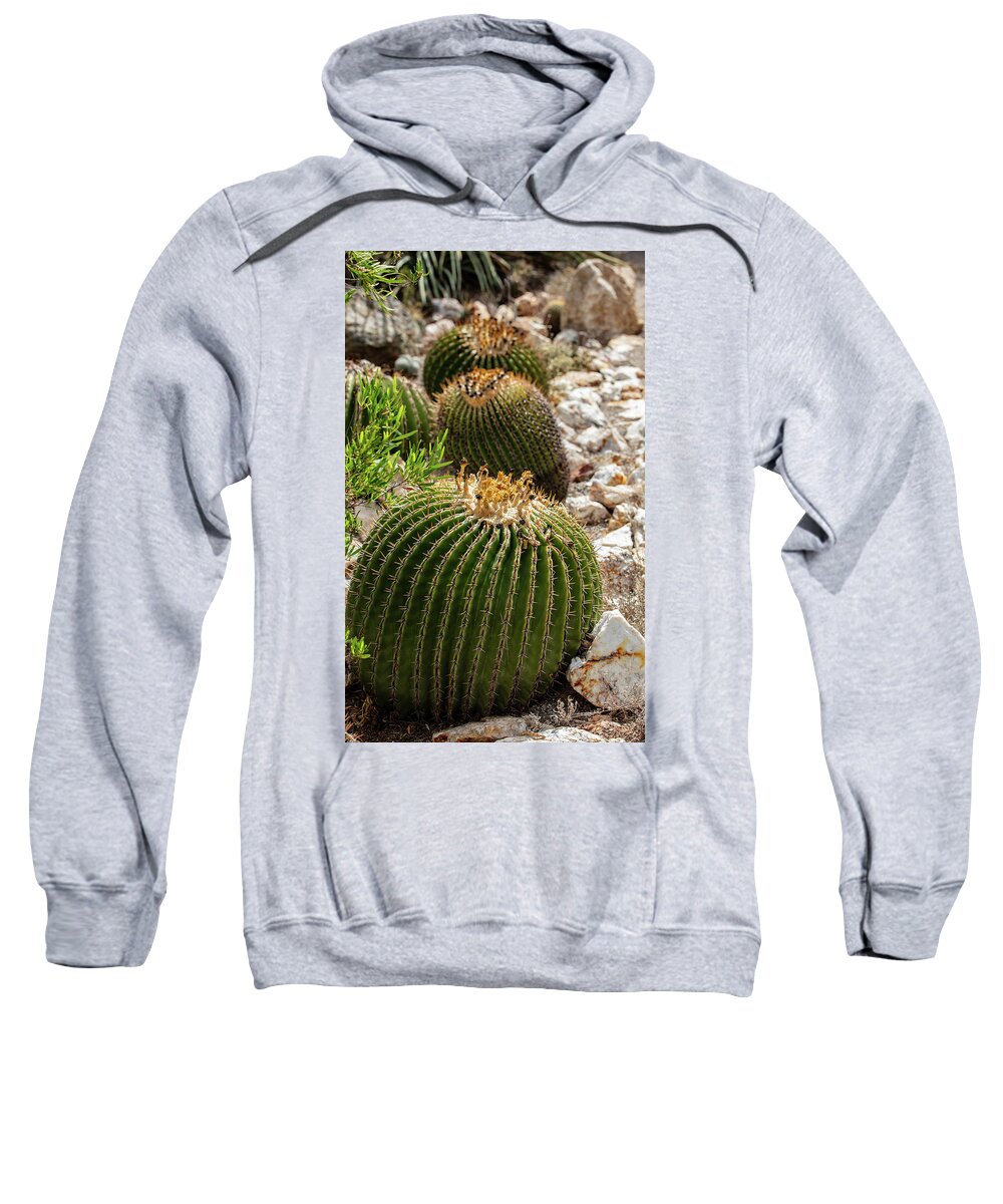 Cacti - Sweatshirt