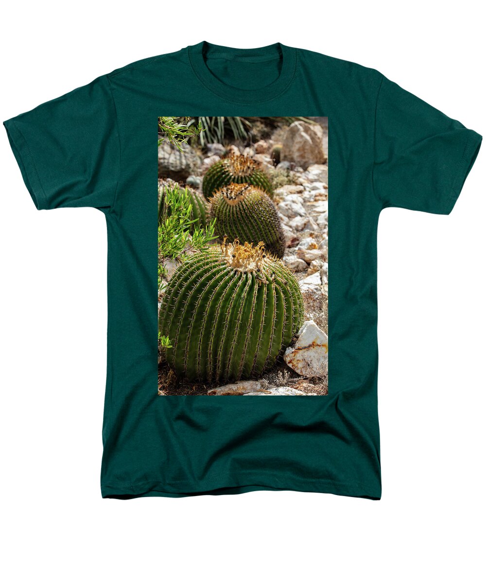 Cacti - Men's T-Shirt  (Regular Fit)