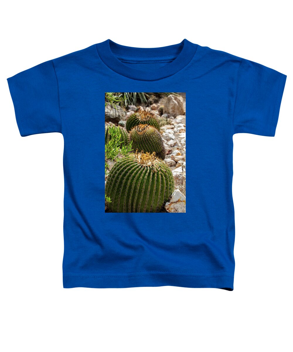 Cacti - Toddler T-Shirt