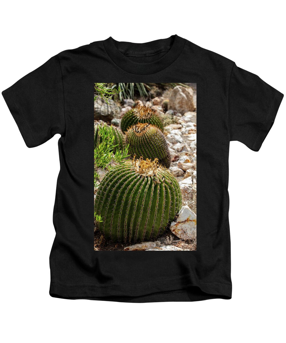 Cacti - Kids T-Shirt