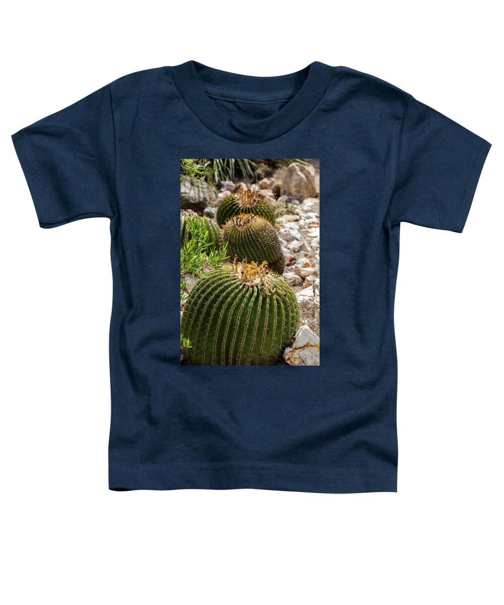 Cacti - Toddler T-Shirt