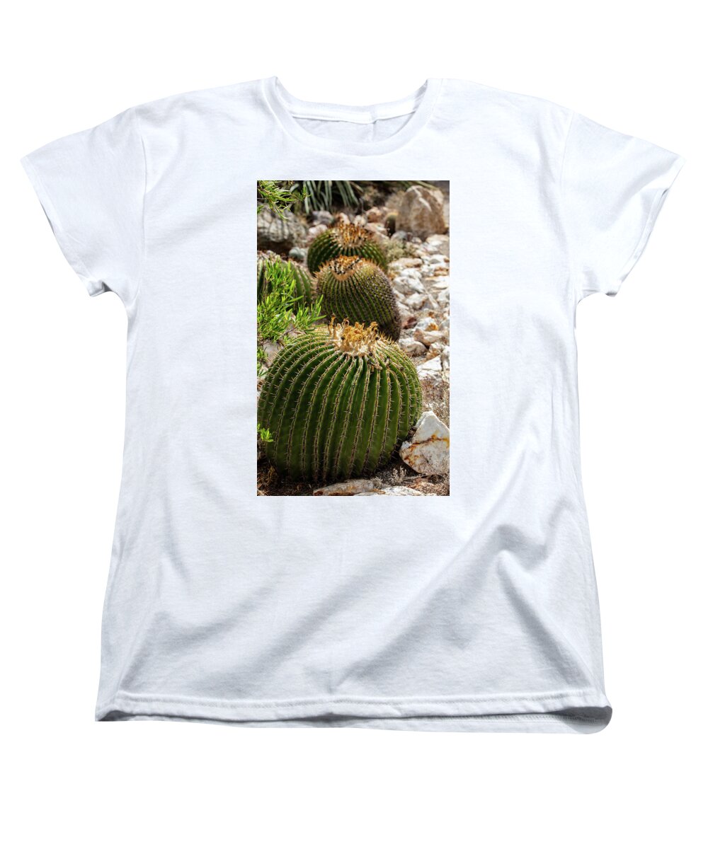 Cacti - Women's T-Shirt (Standard Fit)