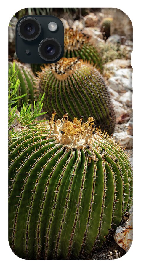 Cacti - Phone Case