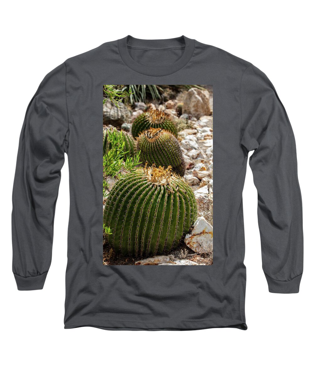 Cacti - Long Sleeve T-Shirt