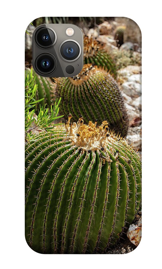 Cacti - Phone Case