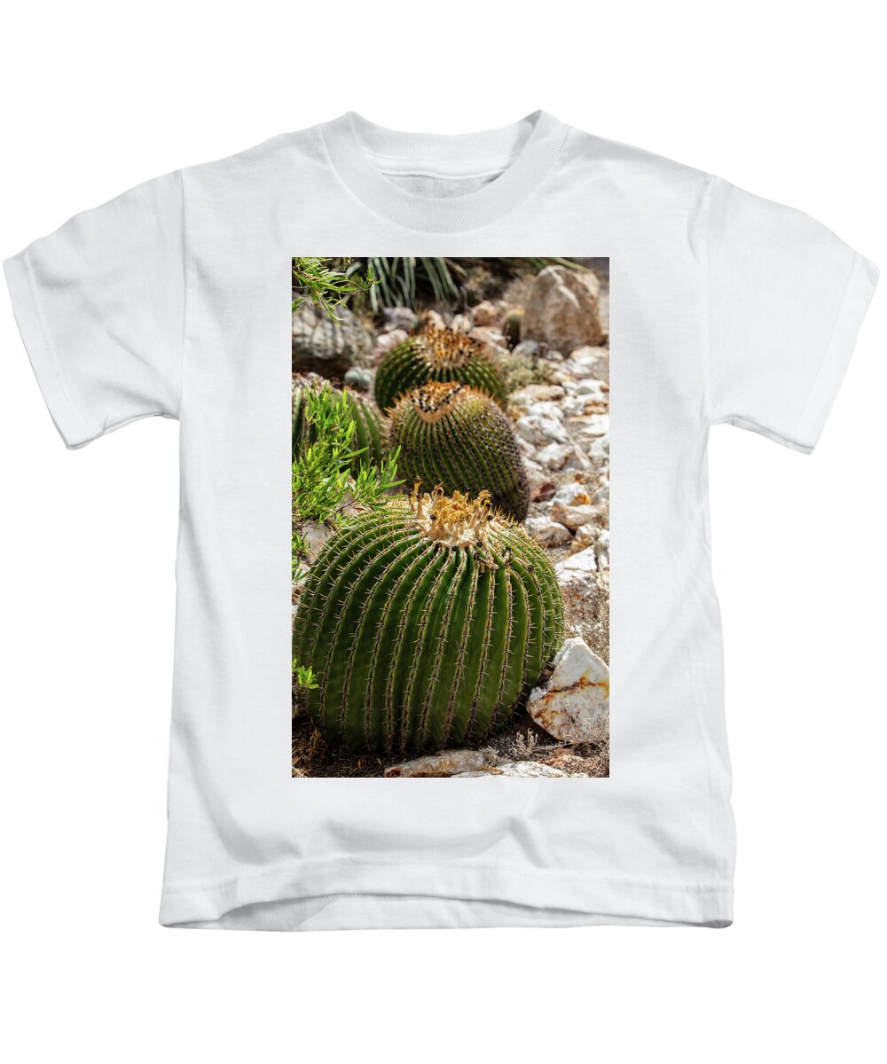 Cacti - Kids T-Shirt