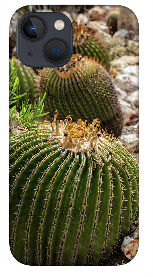 Cacti - Phone Case