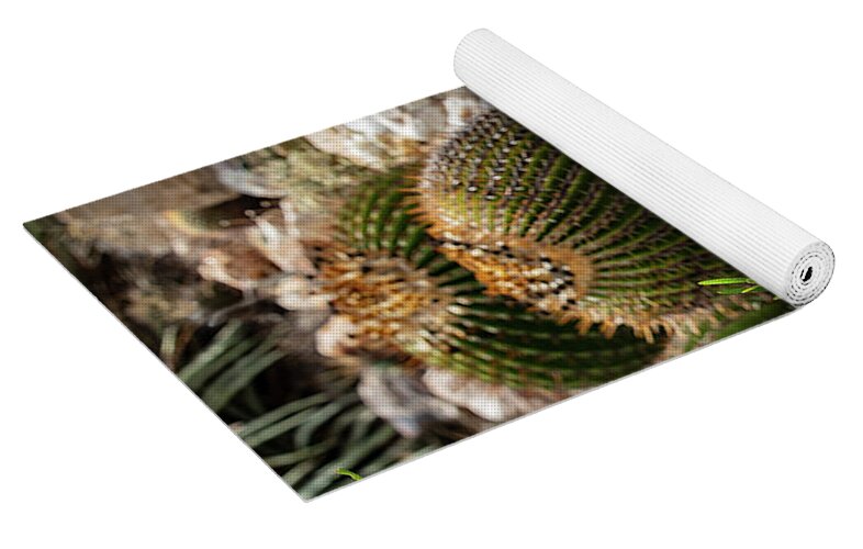 Cacti - Yoga Mat