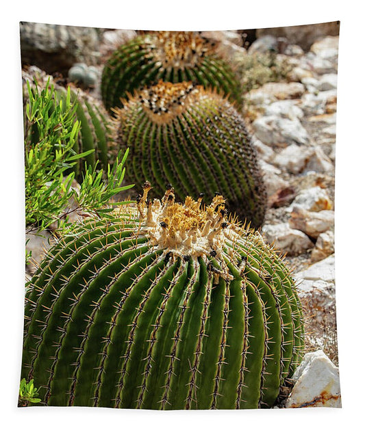 Cacti - Tapestry
