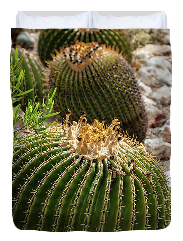 Cacti - Duvet Cover