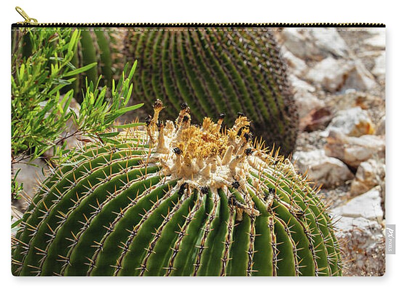 Cacti - Zip Pouch