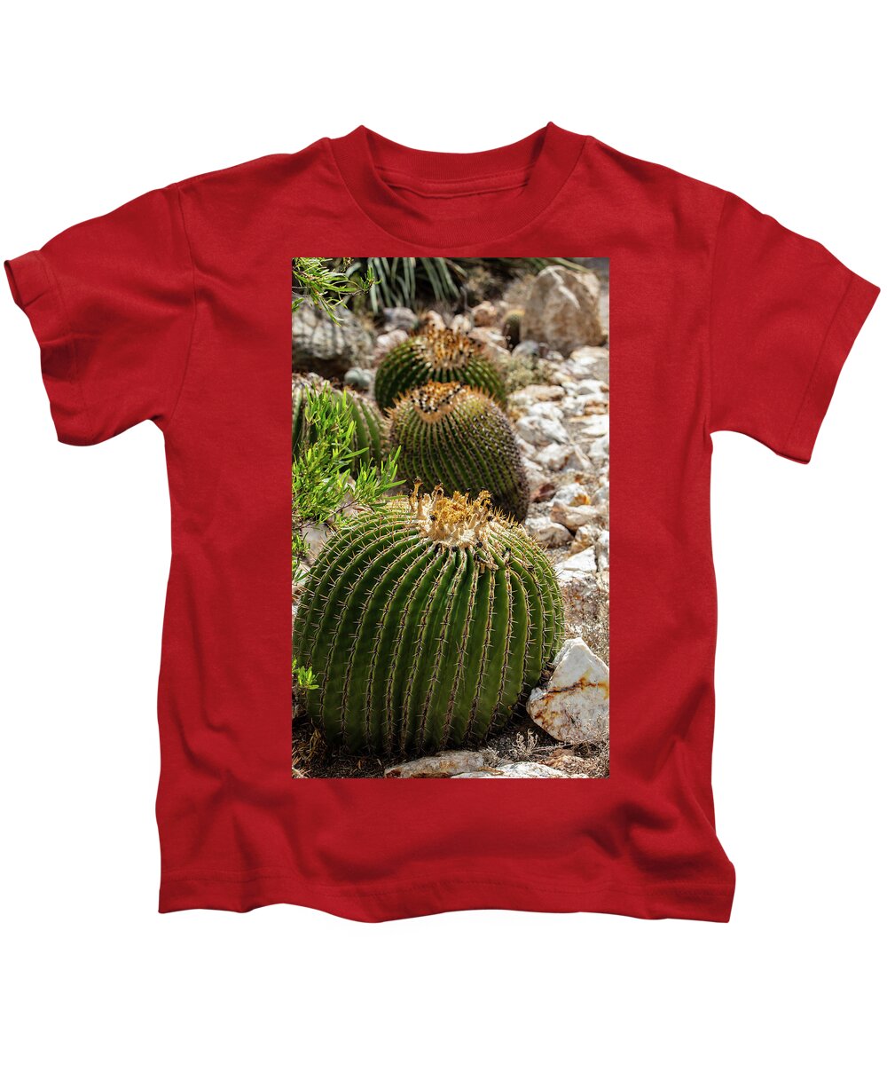 Cacti - Kids T-Shirt