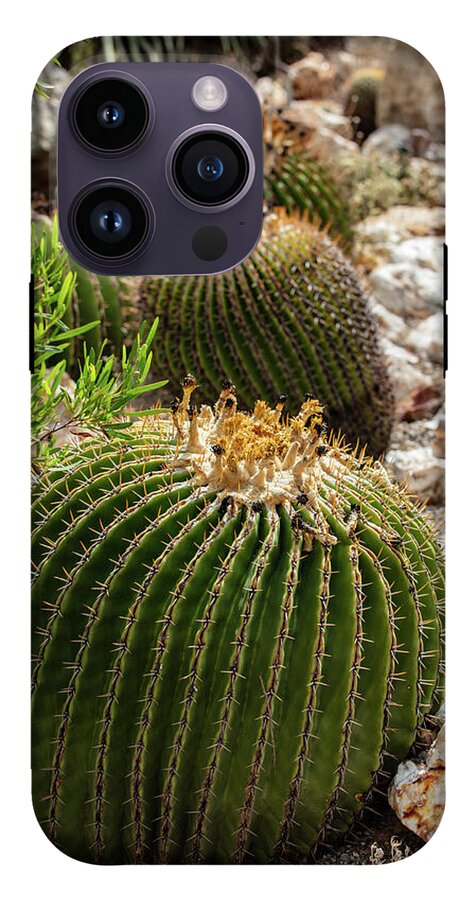 Cacti - Phone Case