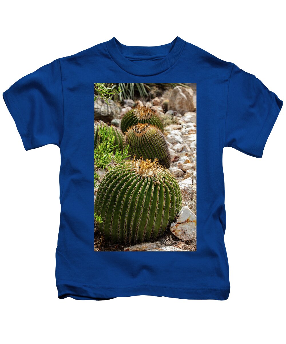 Cacti - Kids T-Shirt