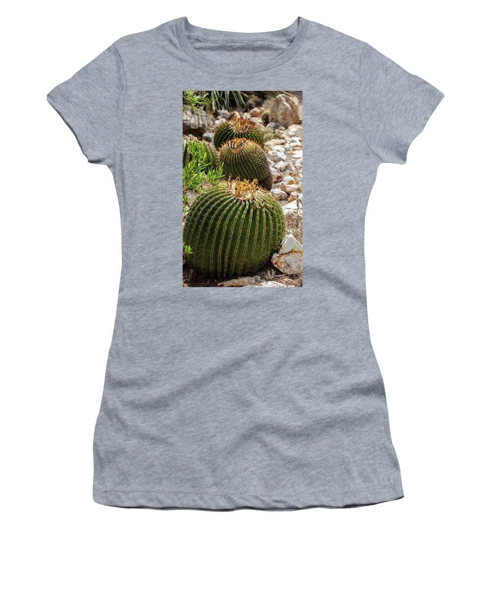 Cacti - Women's T-Shirt