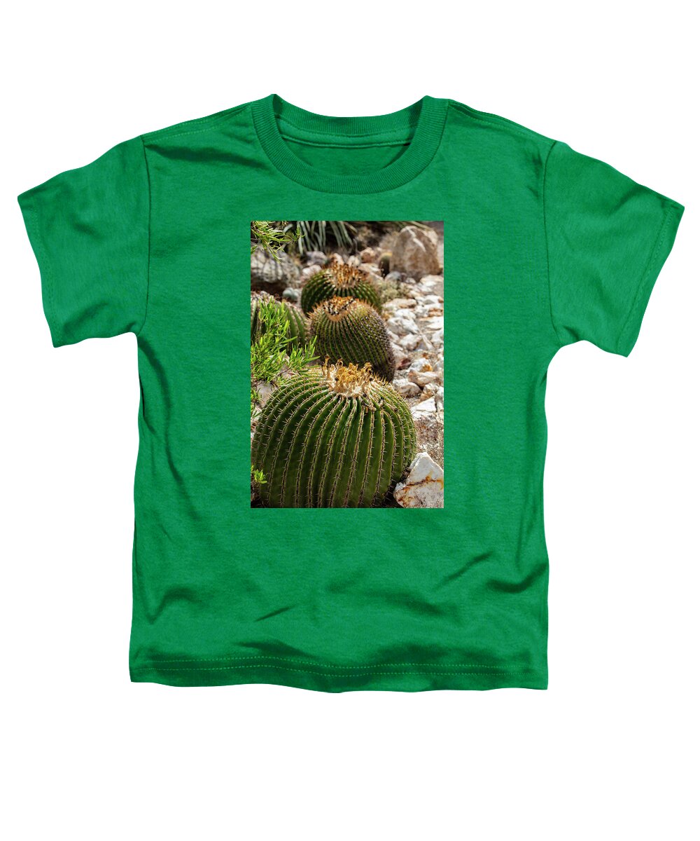 Cacti - Toddler T-Shirt