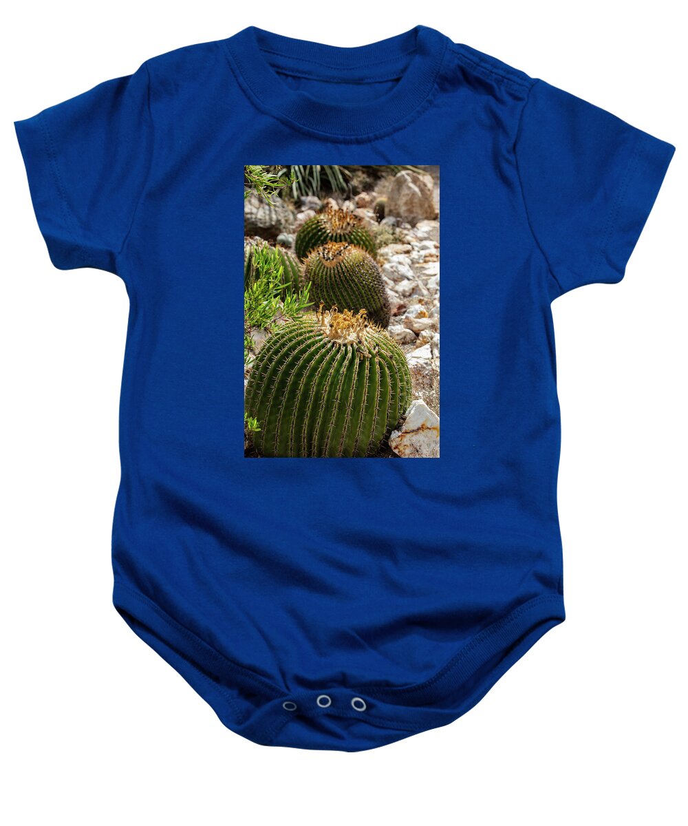 Cacti - Baby Onesie