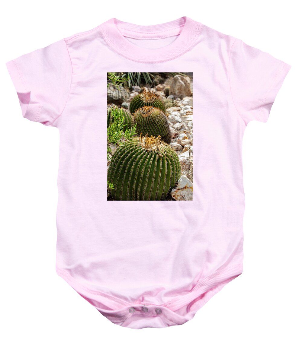 Cacti - Baby Onesie